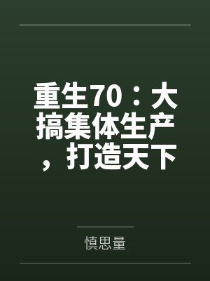 重生70：大搞集体生产，打造天下第一村by慎思量